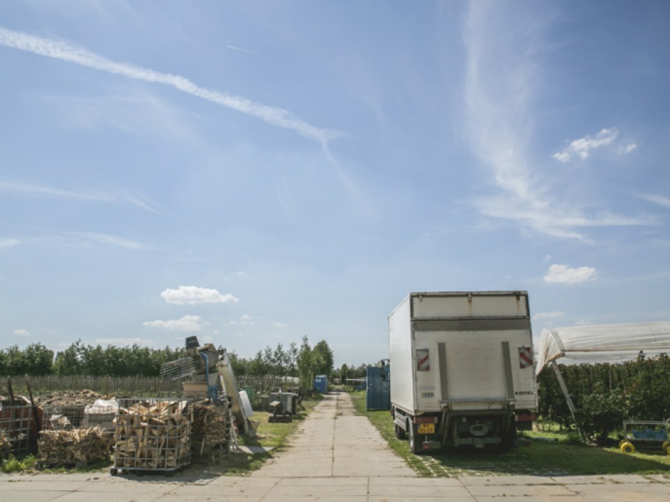 buitenboom_vdh1378.jpg