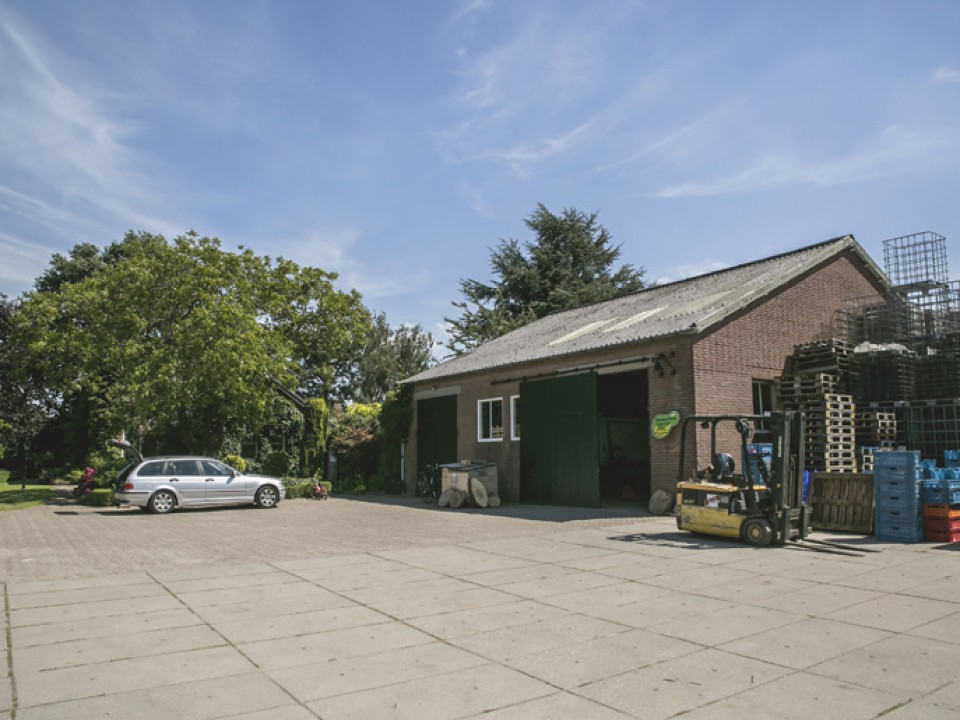buitenboom_vdh1391.jpg