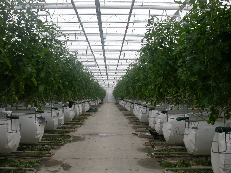 dscn1254jpg.jpg