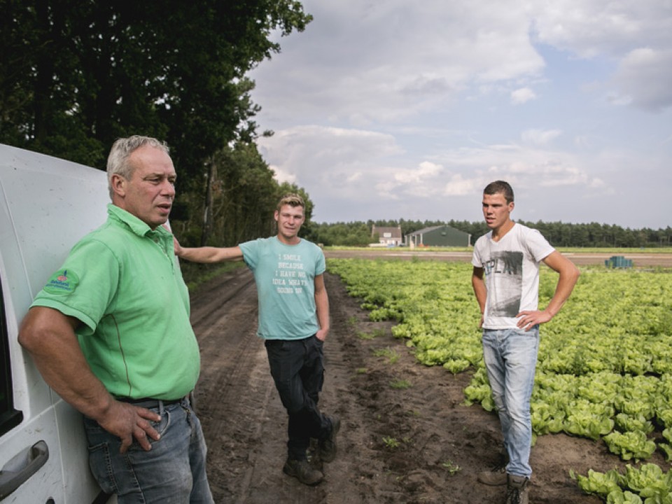 goorbergh_vdh4237.jpg