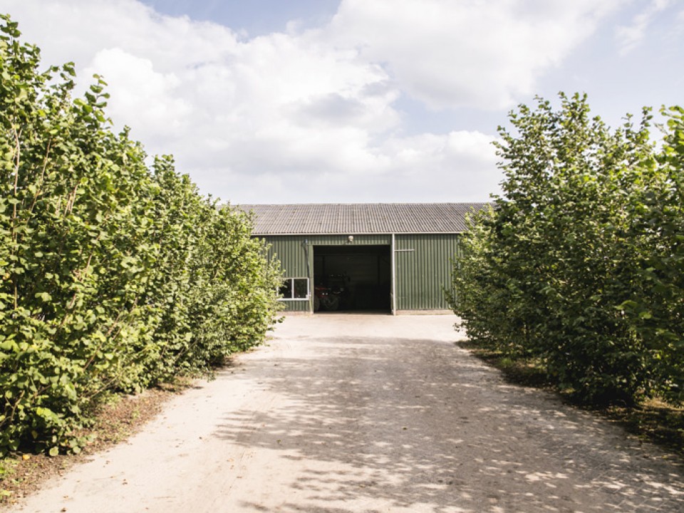 goorbergh_vdh4265.jpg