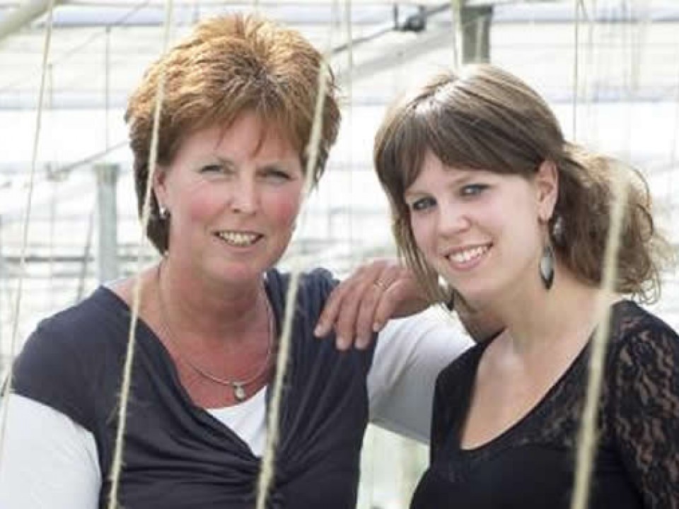header-willems.jpg