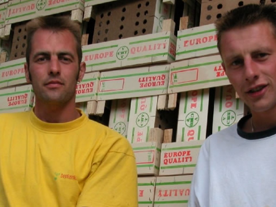 lobros-header.jpg