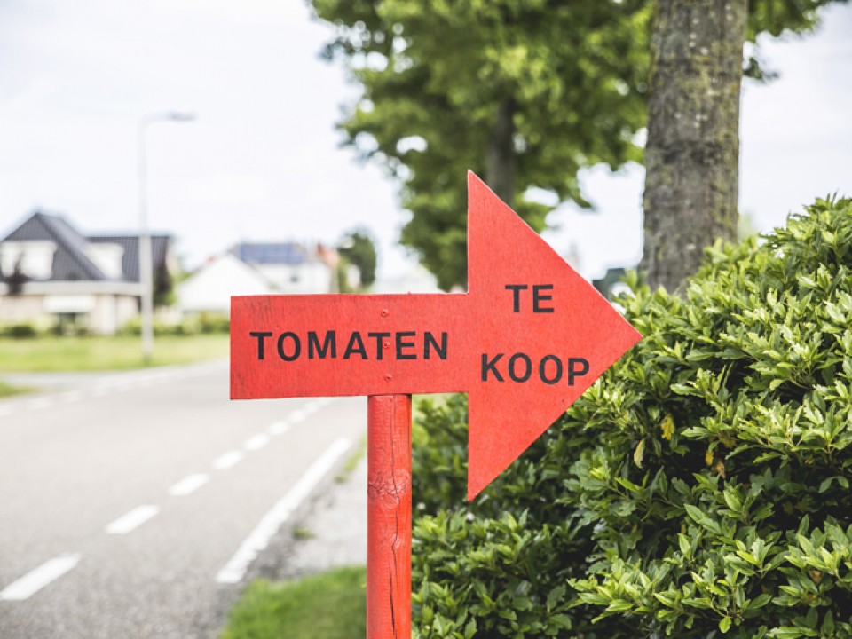 nico-duijvestijn_vdh8234.jpg