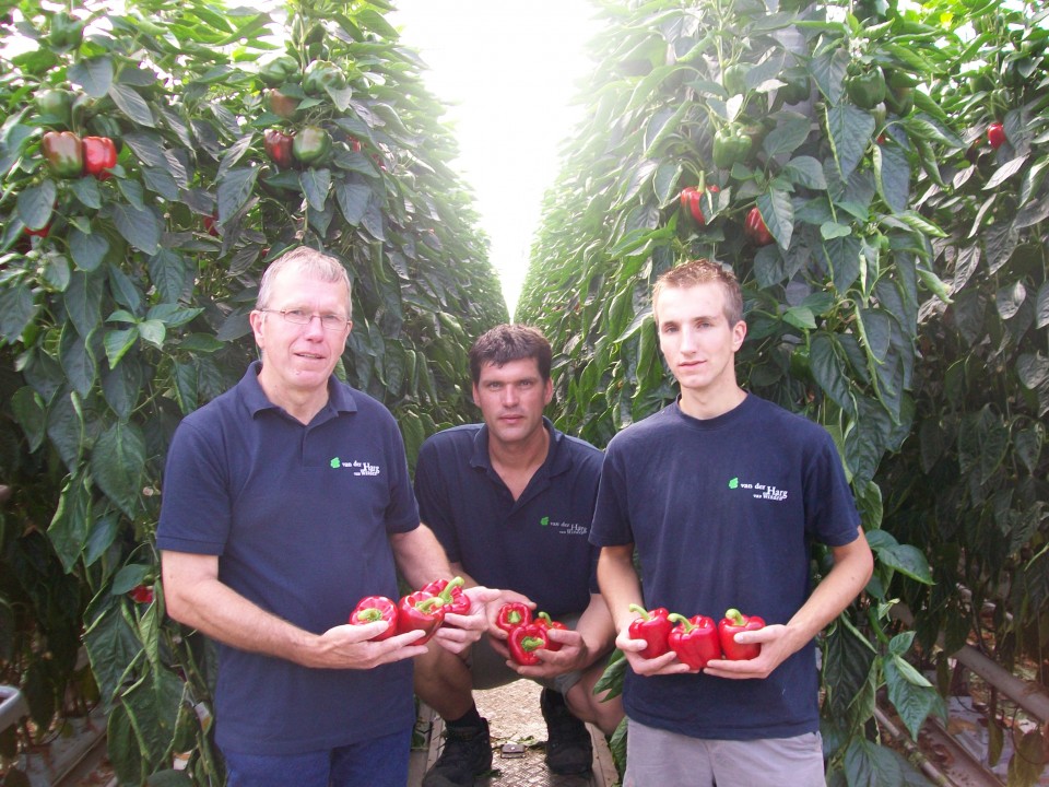 paprika_-rood-_-_van_der_harg-_jan_vd_harg-_arjan_walraven-_jan_vd_harg__.jpg