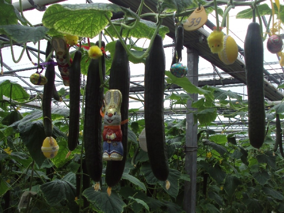 pasen_2013_008.jpg