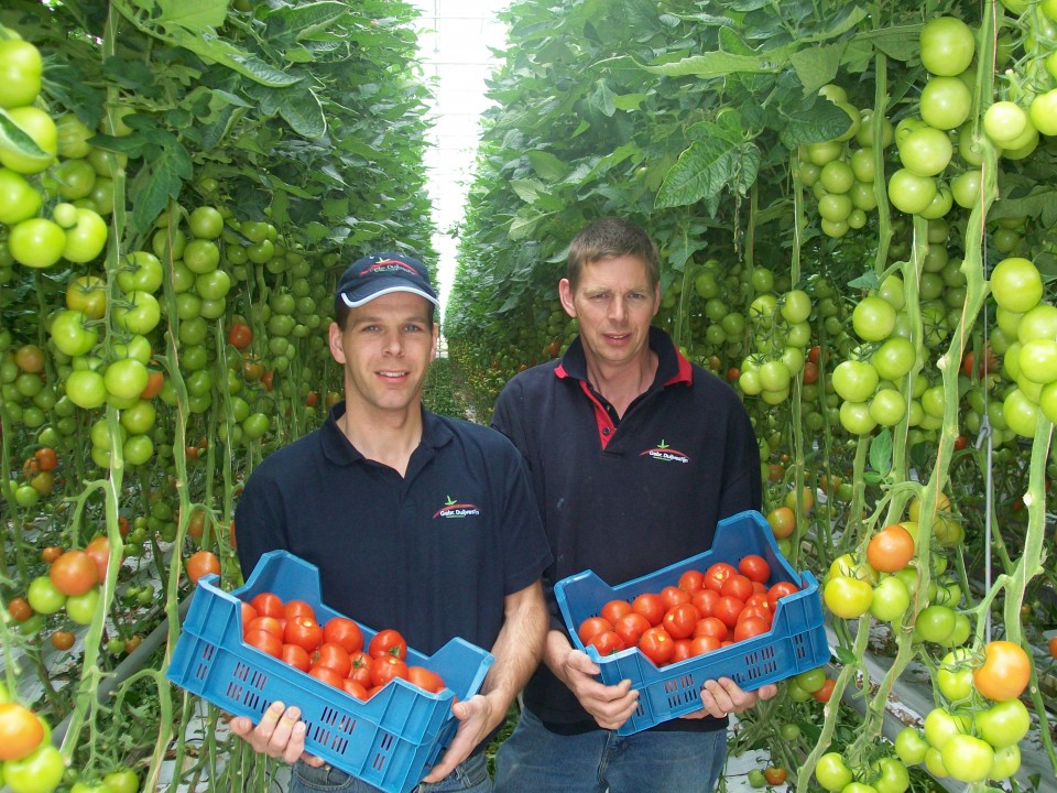 ronde_tomaat_-_remco_en_peter_duijvestijn.jpg
