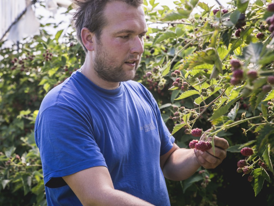 sikker-zachtfruit_vdh1168.jpg