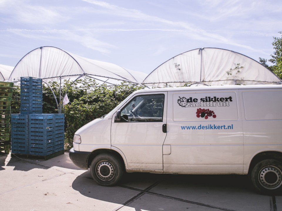 sikker-zachtfruit_vdh1246.jpg