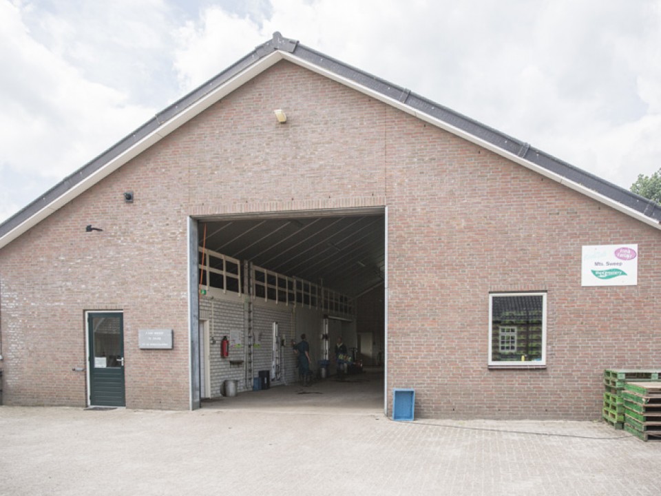 vdh2261.jpg