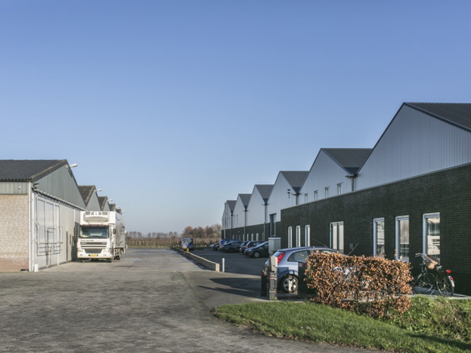 vdh9861.jpg