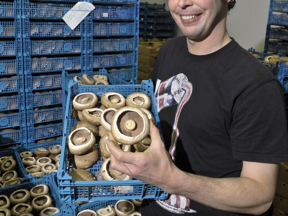 voske.uden.28.jpg