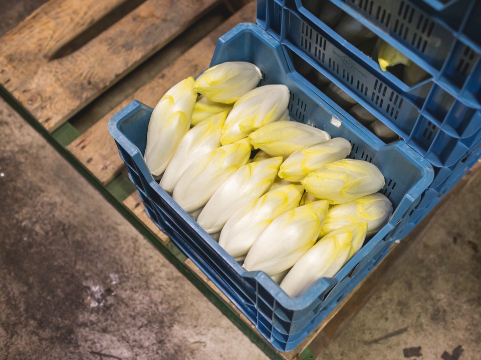 hortihydro8.jpg