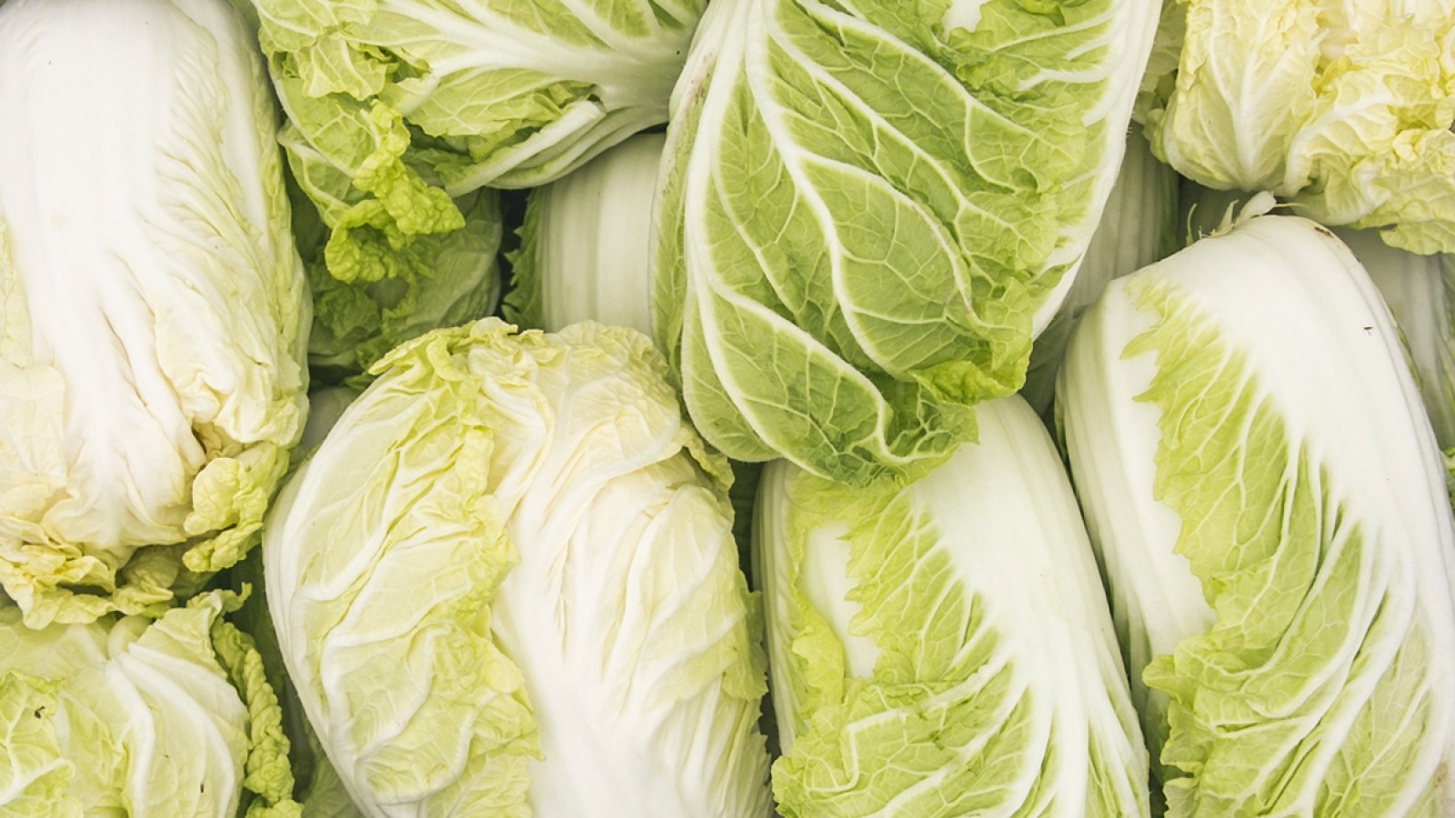 Chinese Kool Verse Oogst