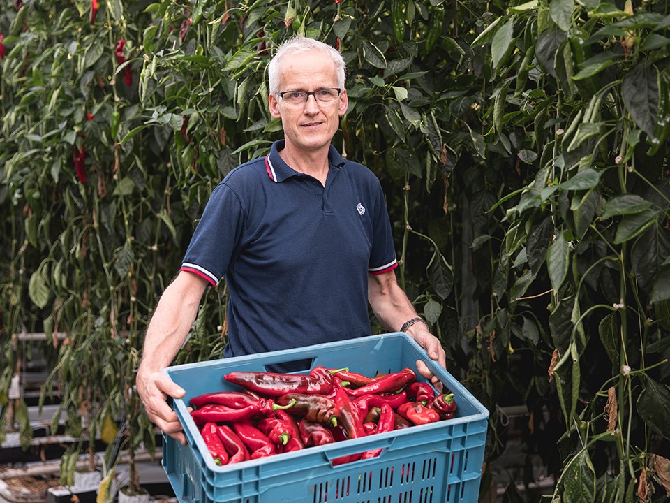 vandermeijs3.jpg