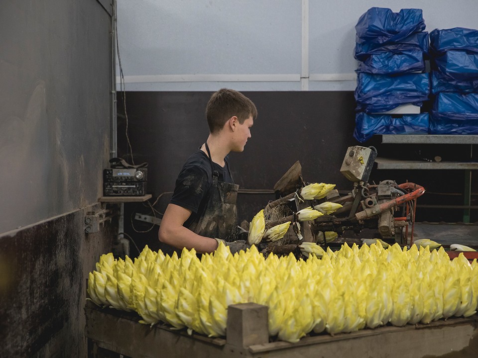 fotoalbum_bottenberg-1.jpg