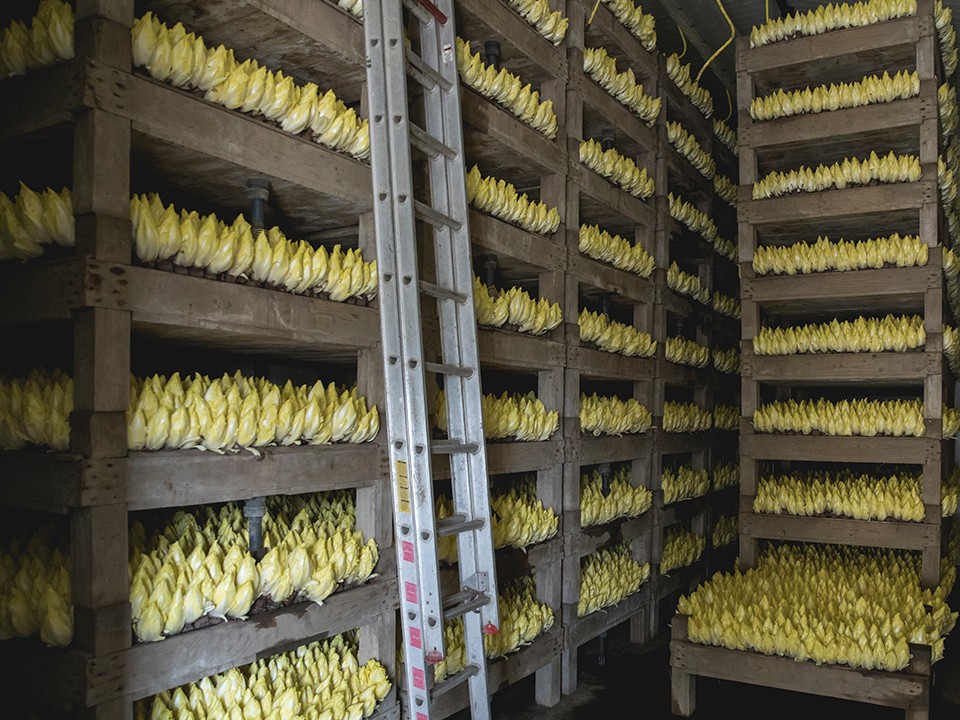 fotoalbum_bottenberg3.jpg