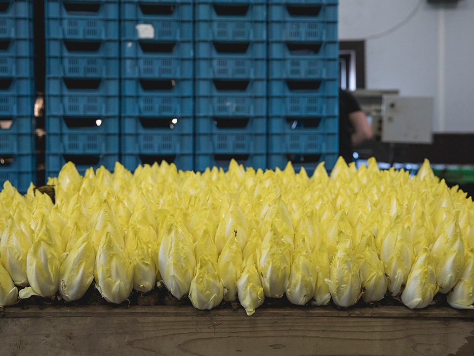 fotoalbum_bottenberg4.jpg