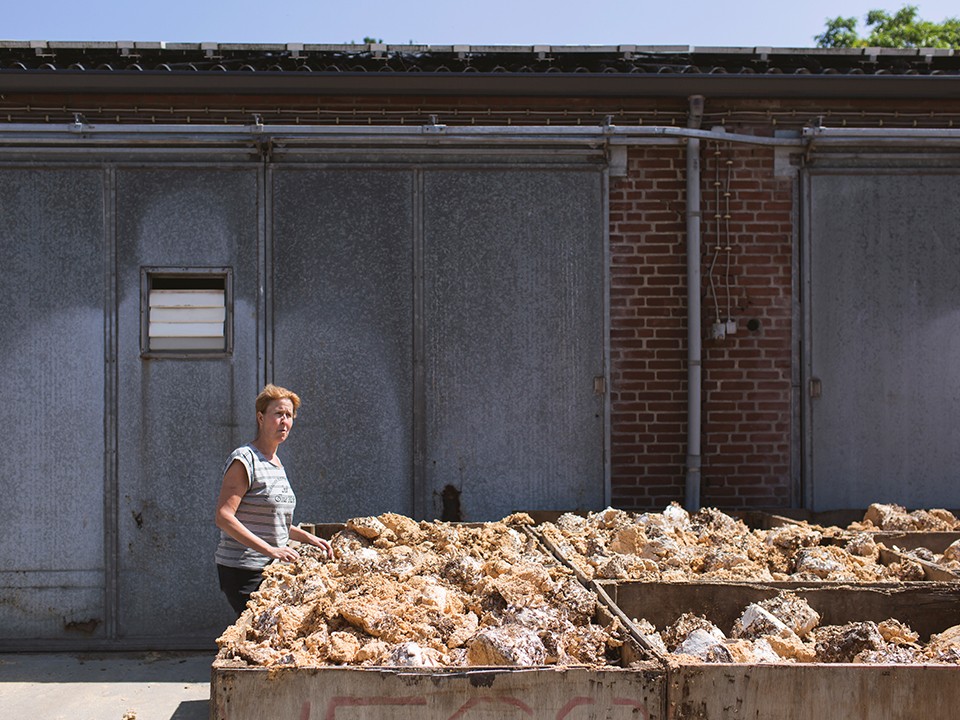 fotoalbum_shiitake4.jpg