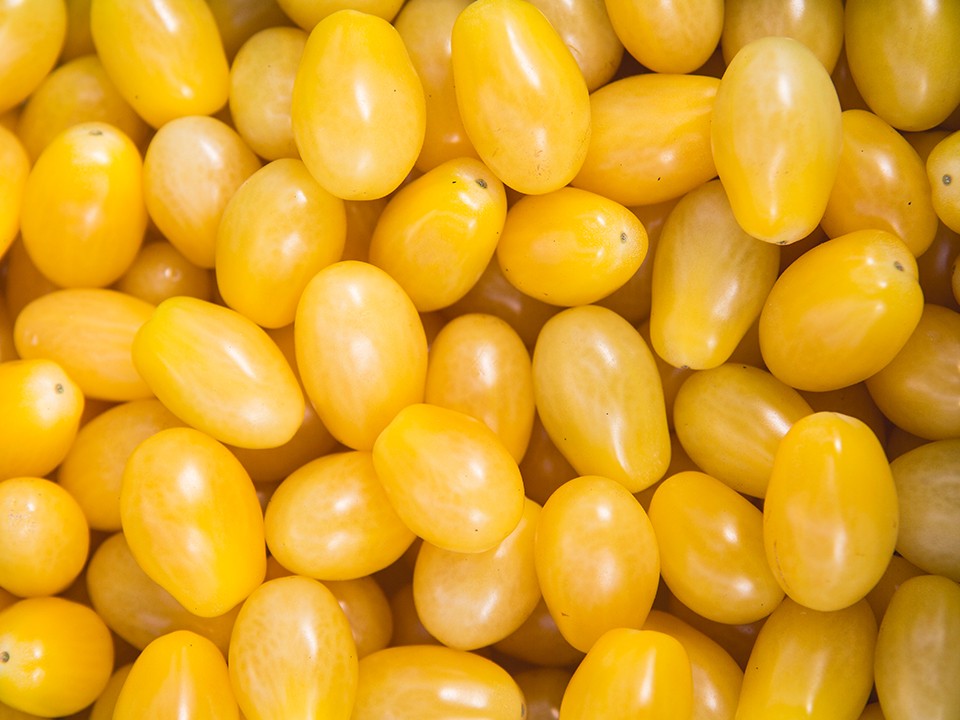 fotoalbum_greenco4.jpg