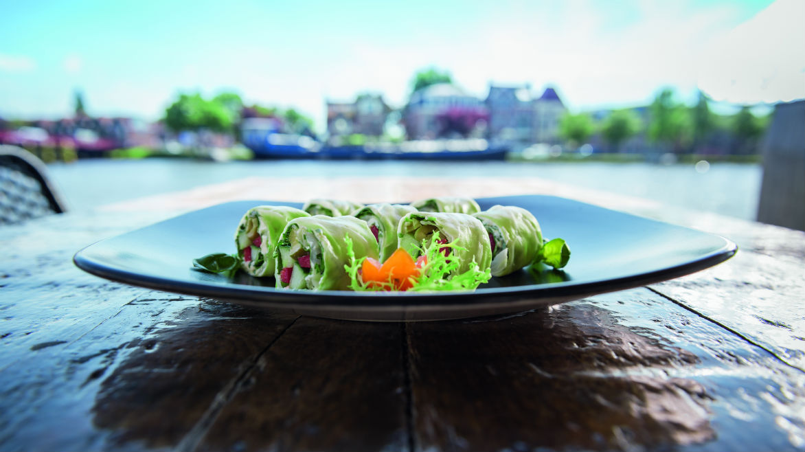 GZ_010153_Bejo_Coolwrap_040