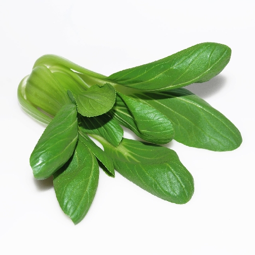 Paksoi Shanghai Verse Oogst