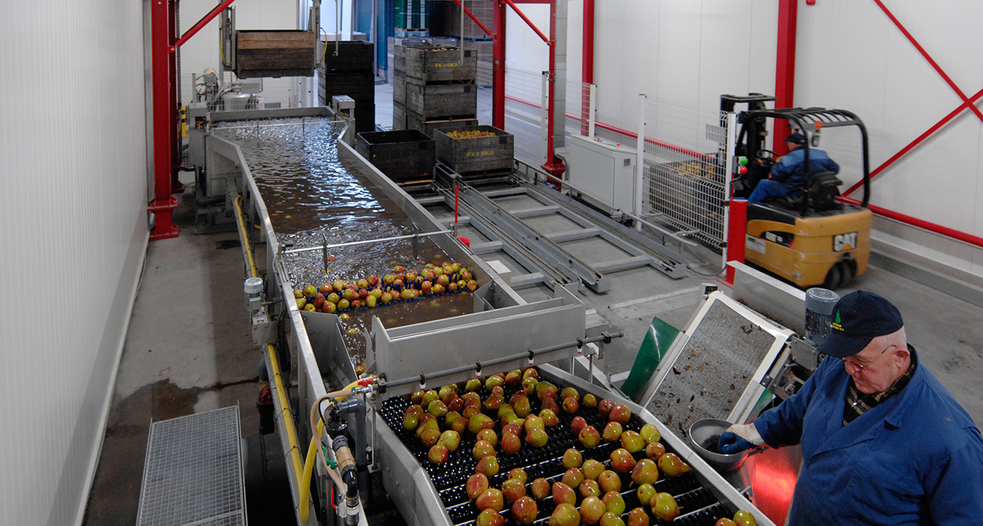 VO_BLOG_1400x750-Teelt Sweet Sensation-15