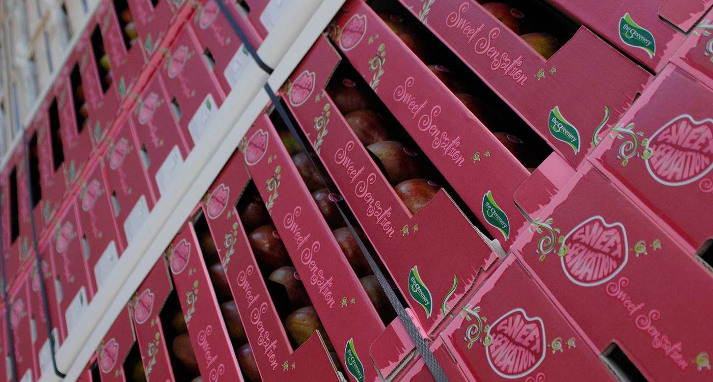 VO_BLOG_1400x750-Teelt Sweet Sensation-17