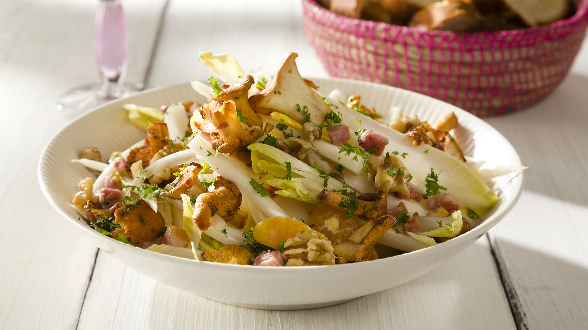 Witlofsalade chantarelle