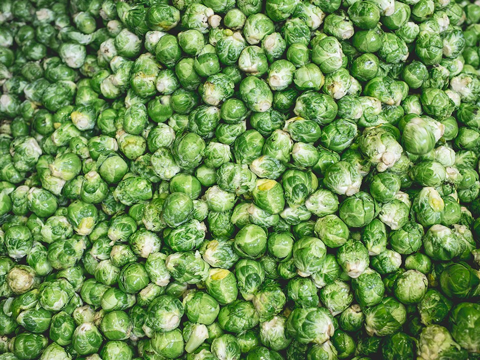 Groene krachtpatsers!