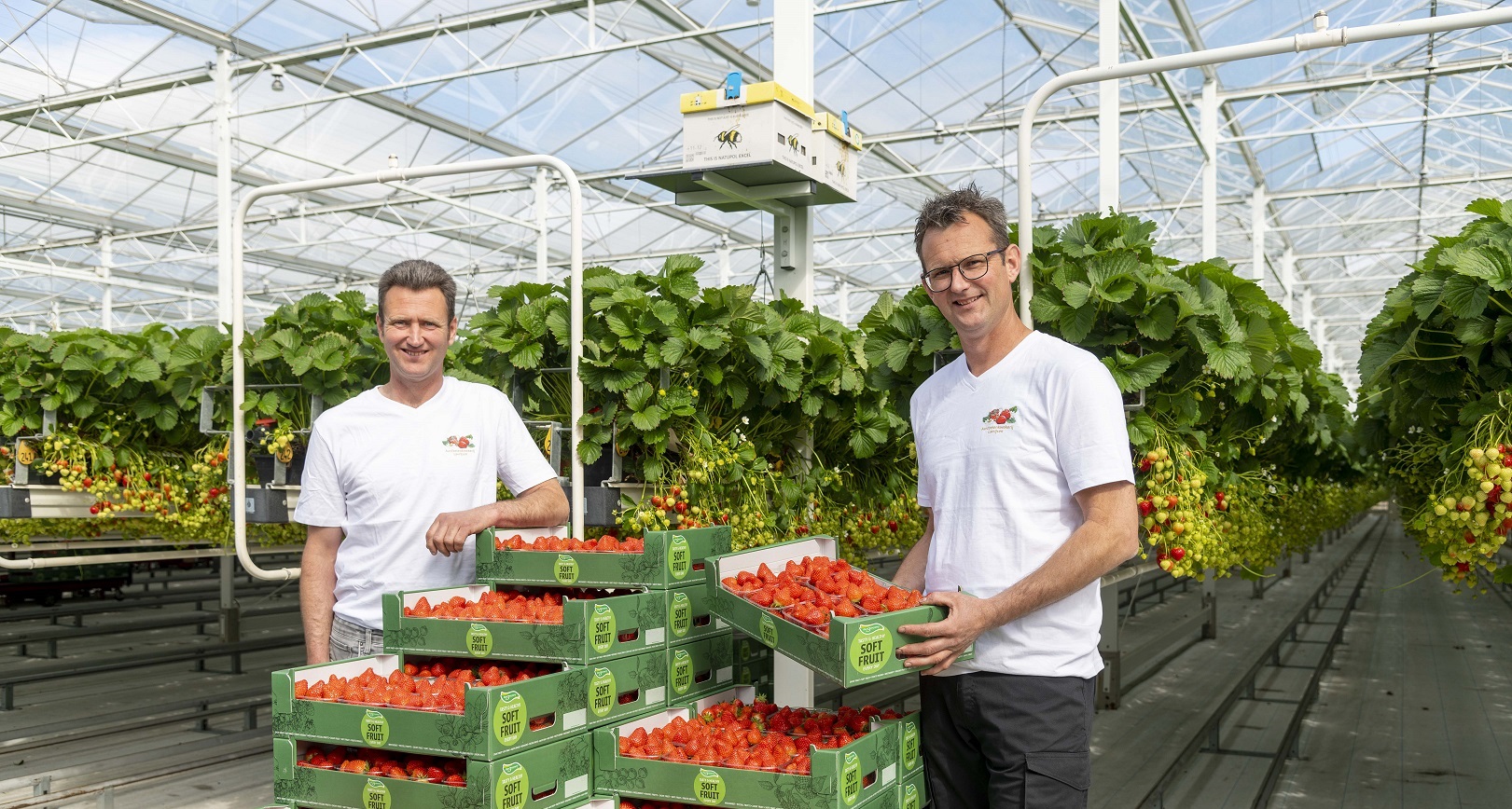Ontmoet de teler