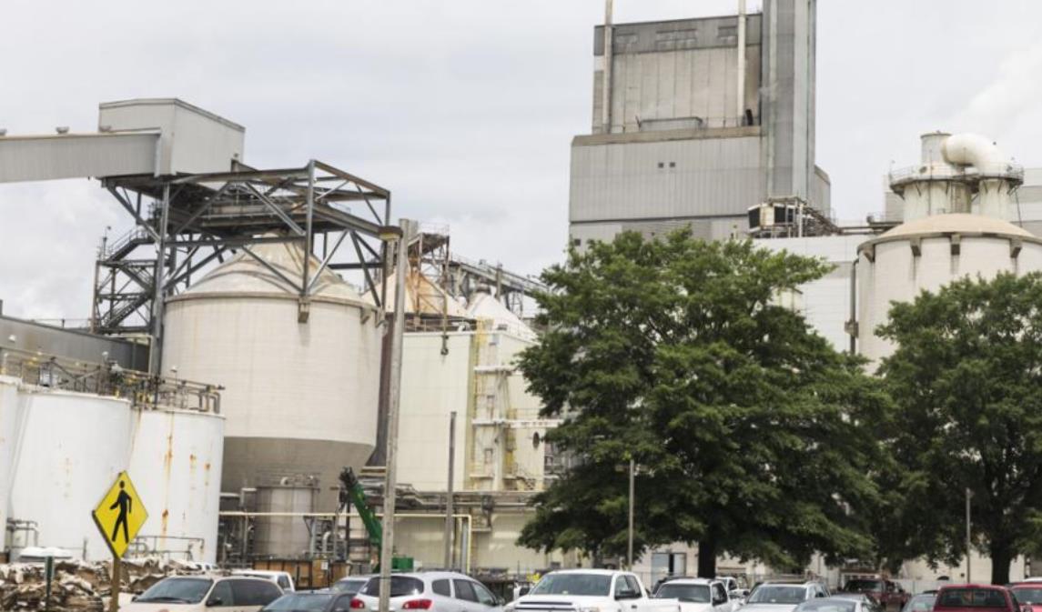 Cranes incidences essay 07 picture