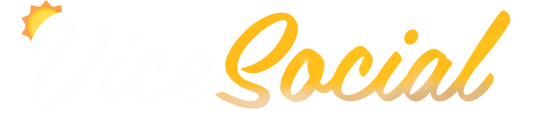 Vice Social