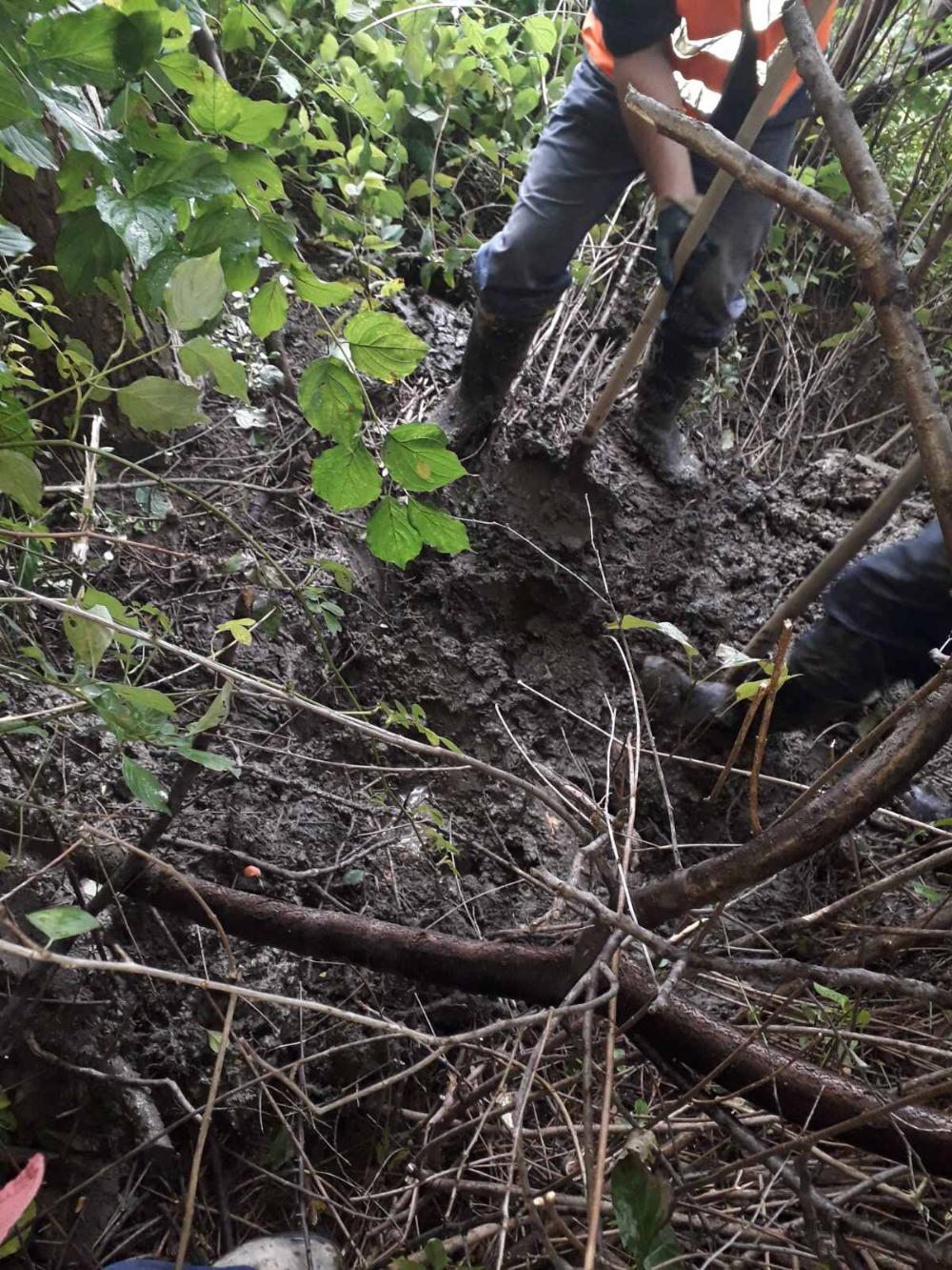 Služba za održavanje vodovodne mreže i objekata:  RADOVI NA VODOVODNOJ MREŽI 