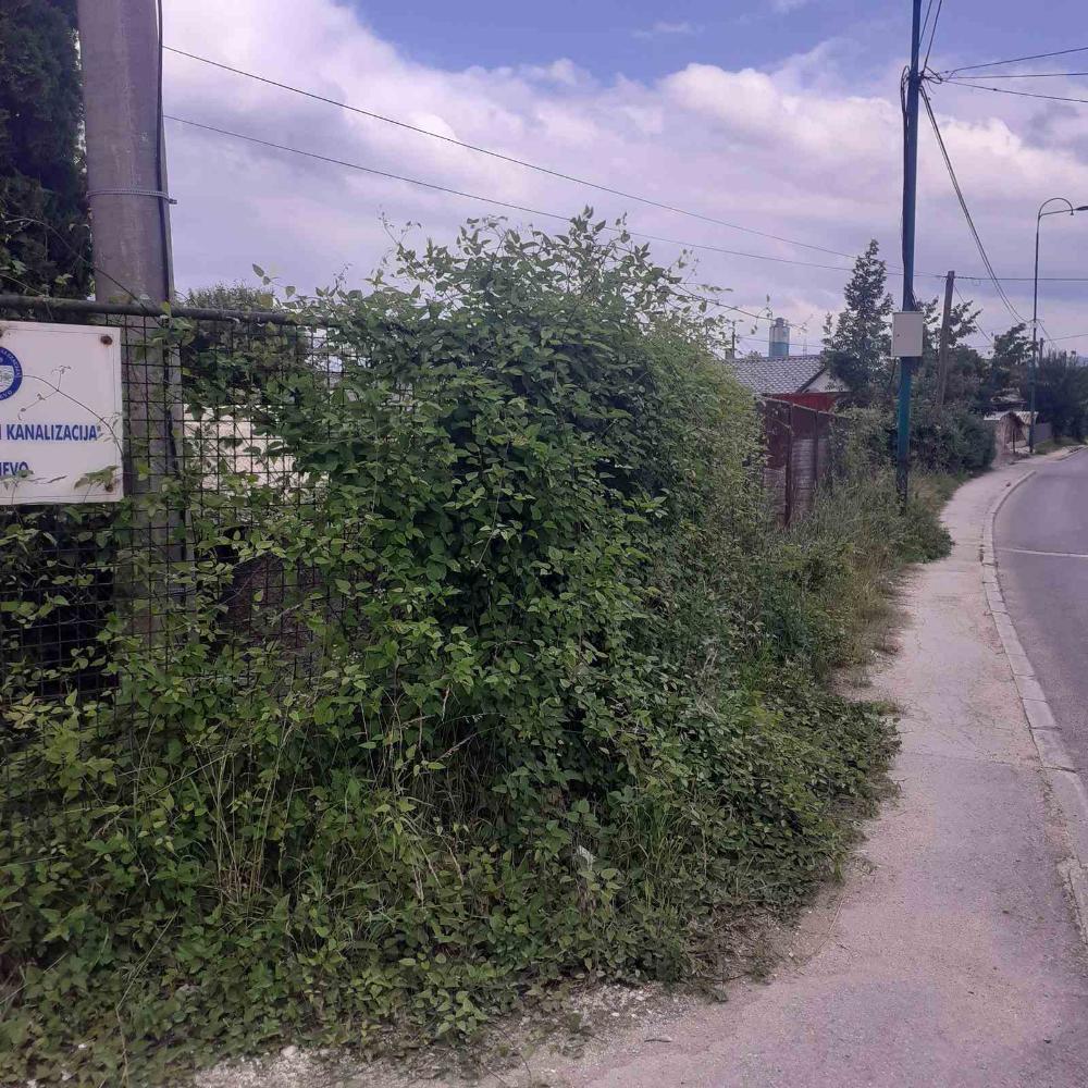 Služba za održavanje kanalizacione mreže i objekata:  RADOVI NA KANALIZACIONOJ MREŽI