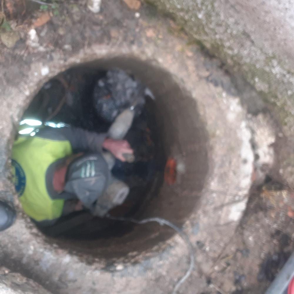 Služba održavanja kanalizacione mreže i objekata: RADOVI NA KANALIZACIONOJ MREŽI