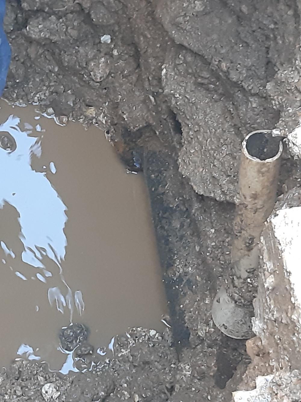 Služba za održavanje vodovodne mreže i objekata:  RADOVI NA VODOVODNOJ MREŽI