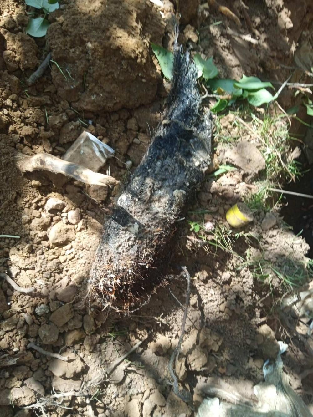 Služba održavanja kanalizacione mreže i objekata: RADOVI NA KANALIZACIONOJ MREŽI