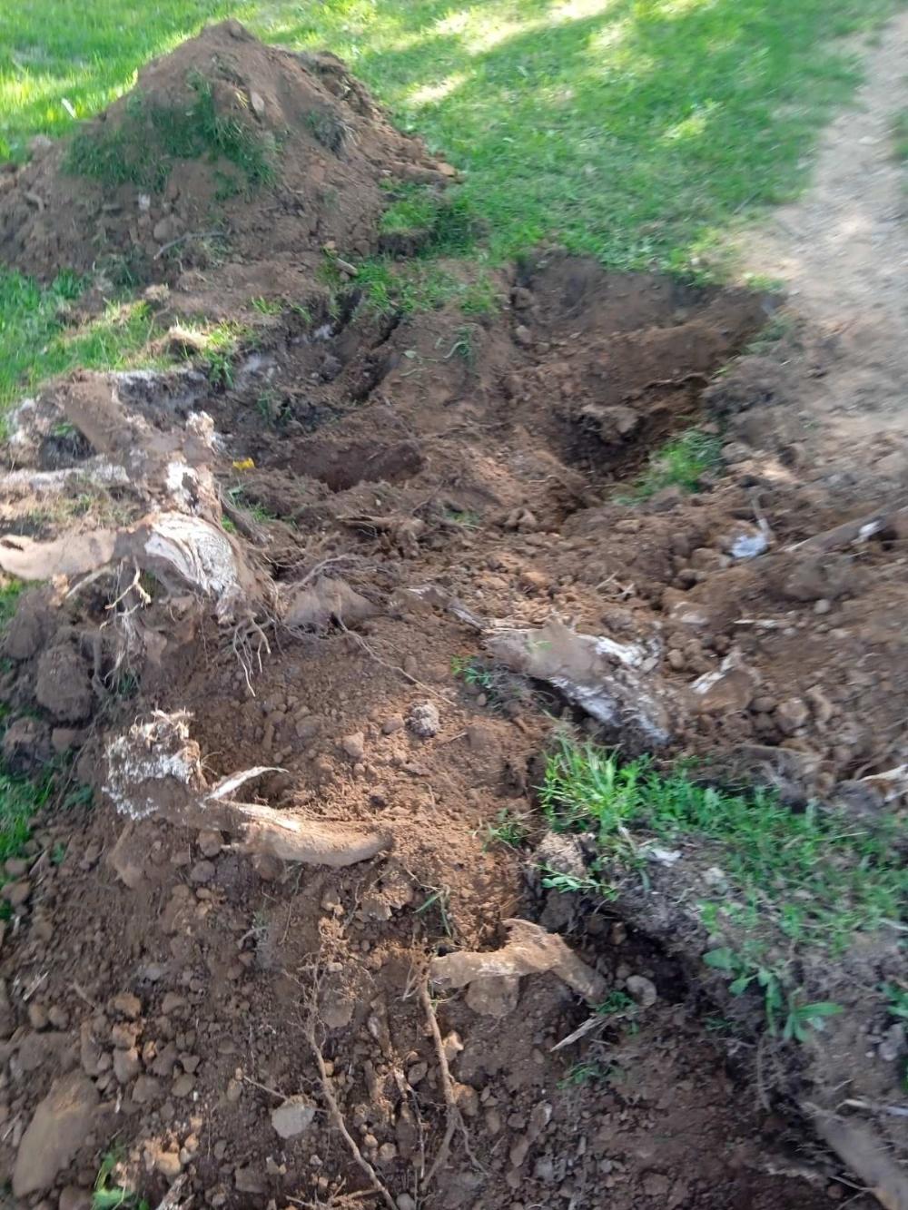 Služba održavanja kanalizacione mreže i objekata: RADOVI NA KANALIZACIONOJ MREŽI