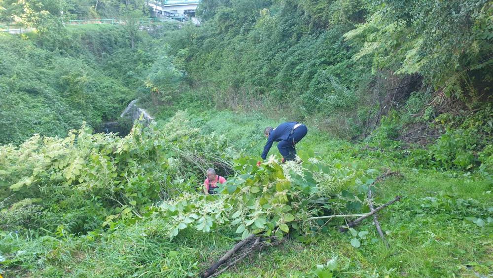 Služba održavanja kanalizacione mreže i objekata: RADOVI NA KANALIZACIONOJ MREŽI