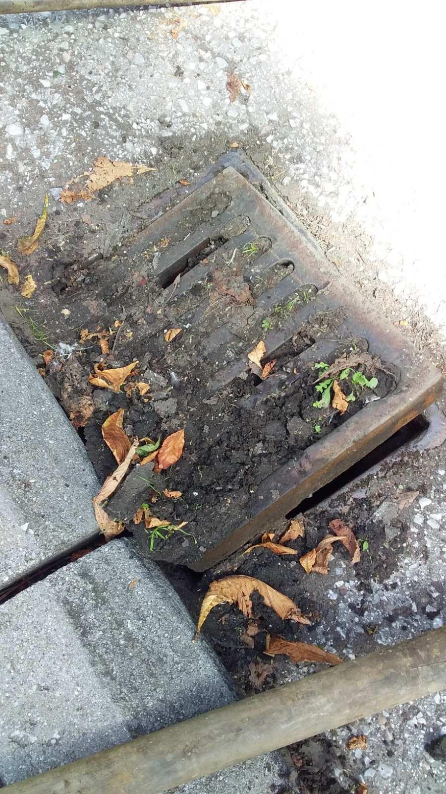 Služba održavanja kanalizacione mreže i objekata: RADOVI NA KANALIZACIONOJ MREŽI