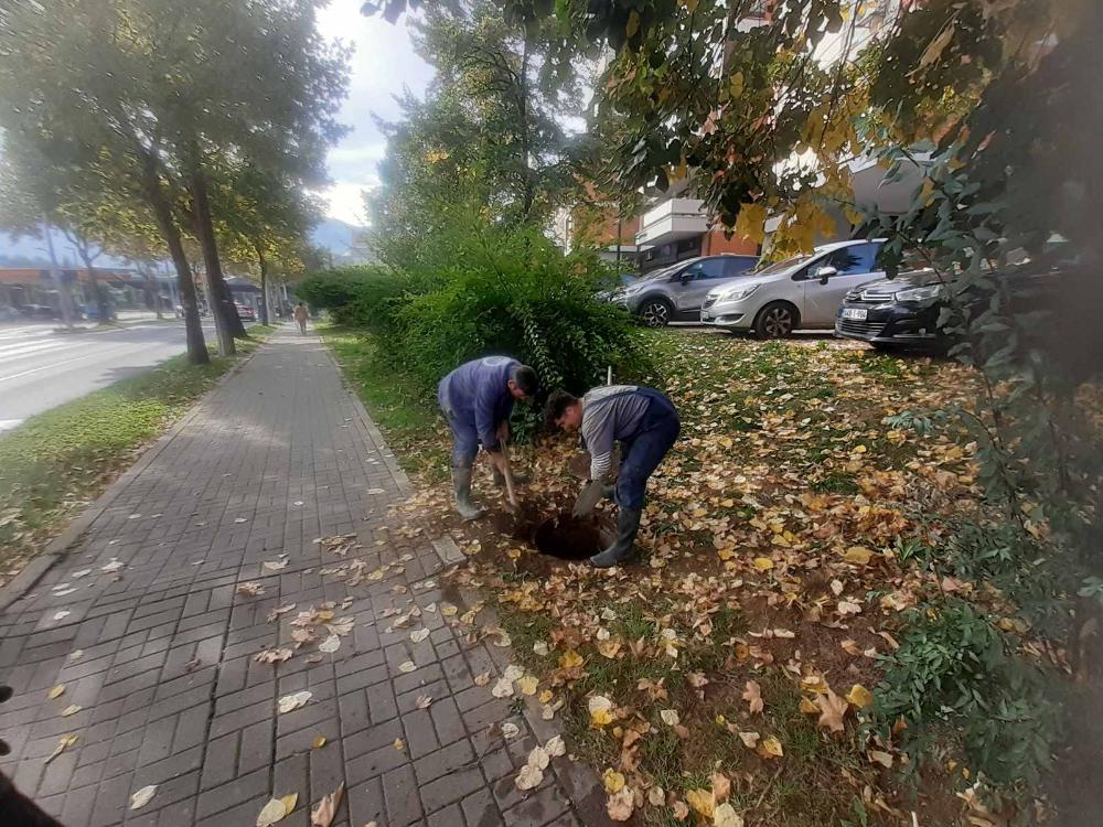 Radovi na kanalizacionoj mreži – srijeda, 02. 10. 2024.