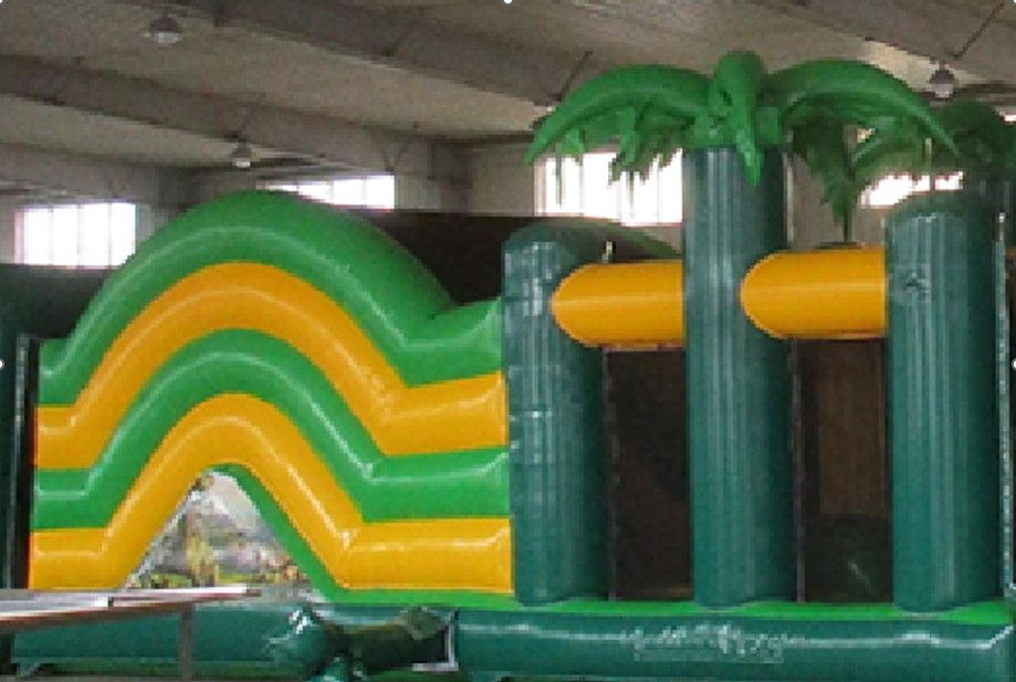 60m Dinotrack XXL Bild