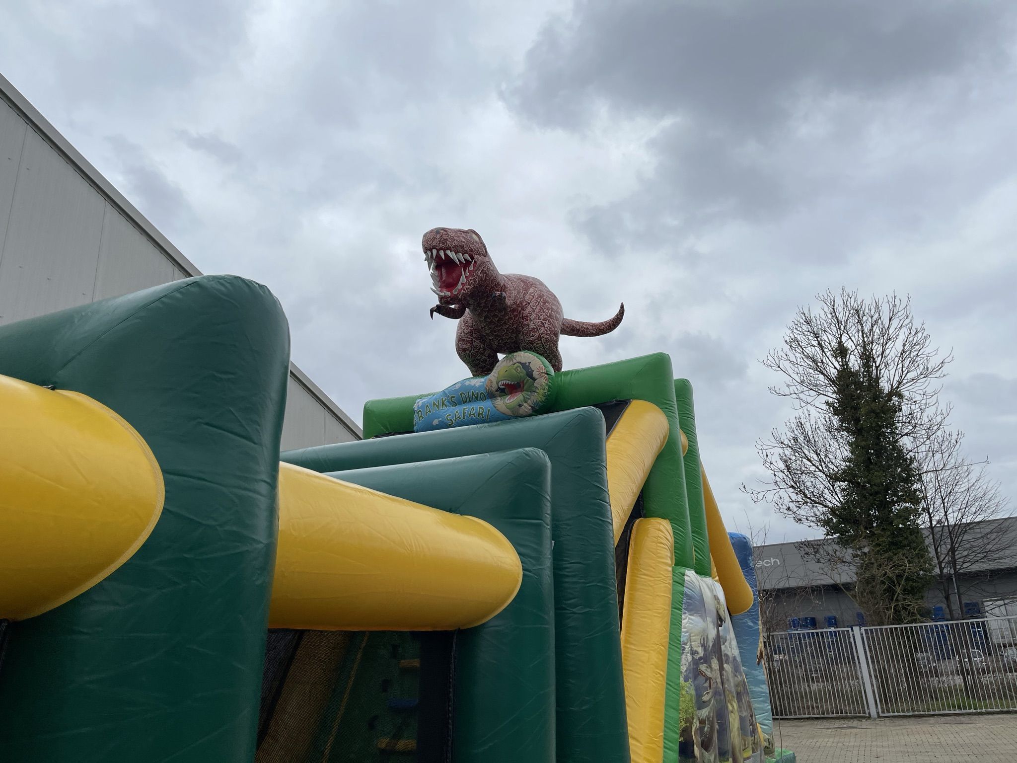 Standard Dino Track Image