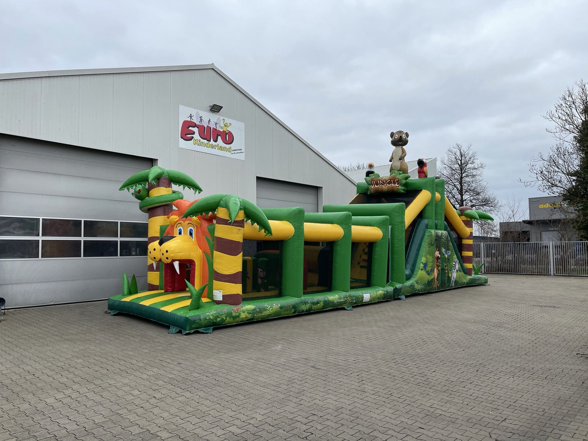 Standaard Junglebaan Afbeelding