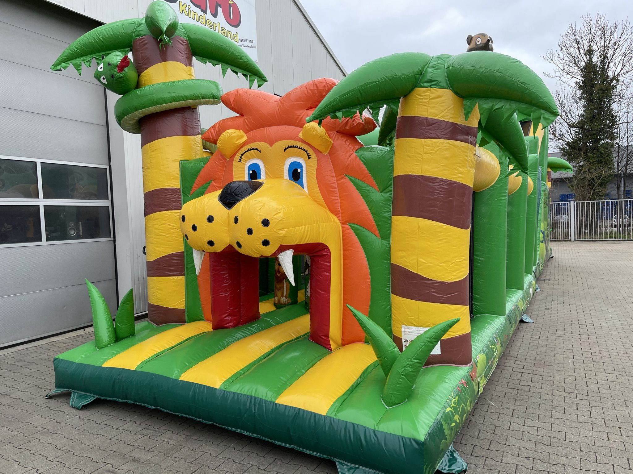 Standaard Junglebaan Afbeelding