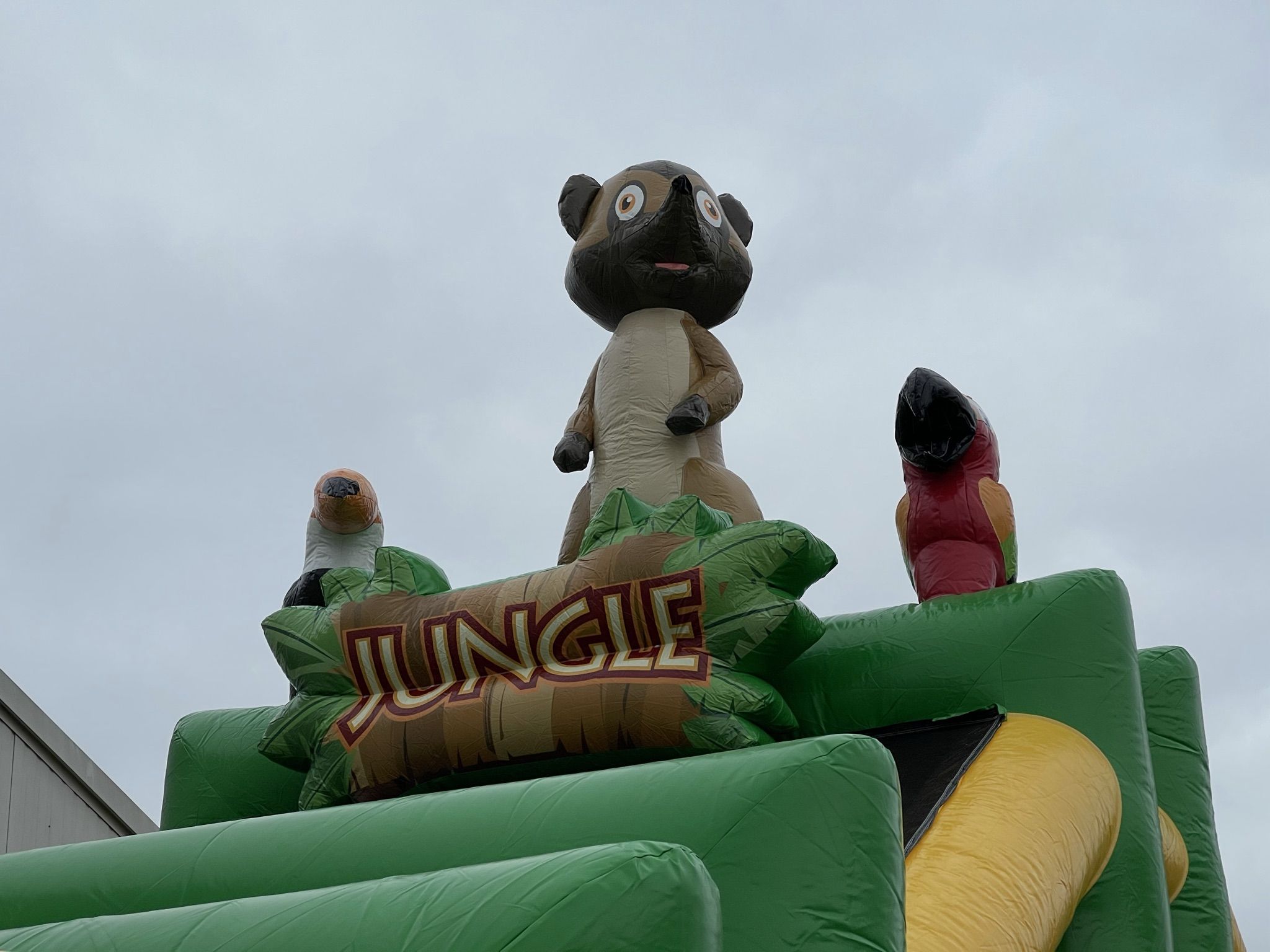 Standaard Junglebaan Afbeelding