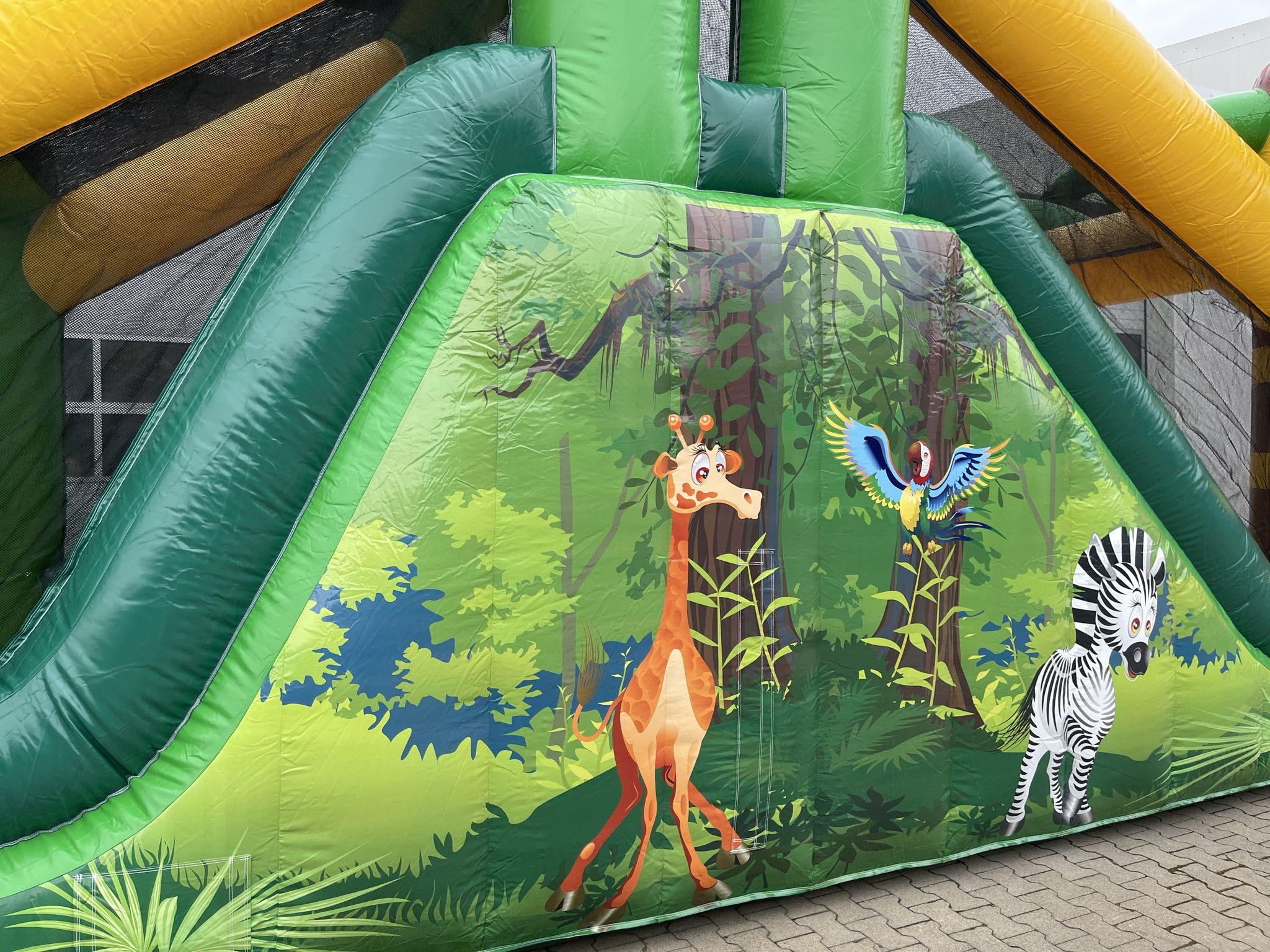 Standaard Junglebaan Afbeelding