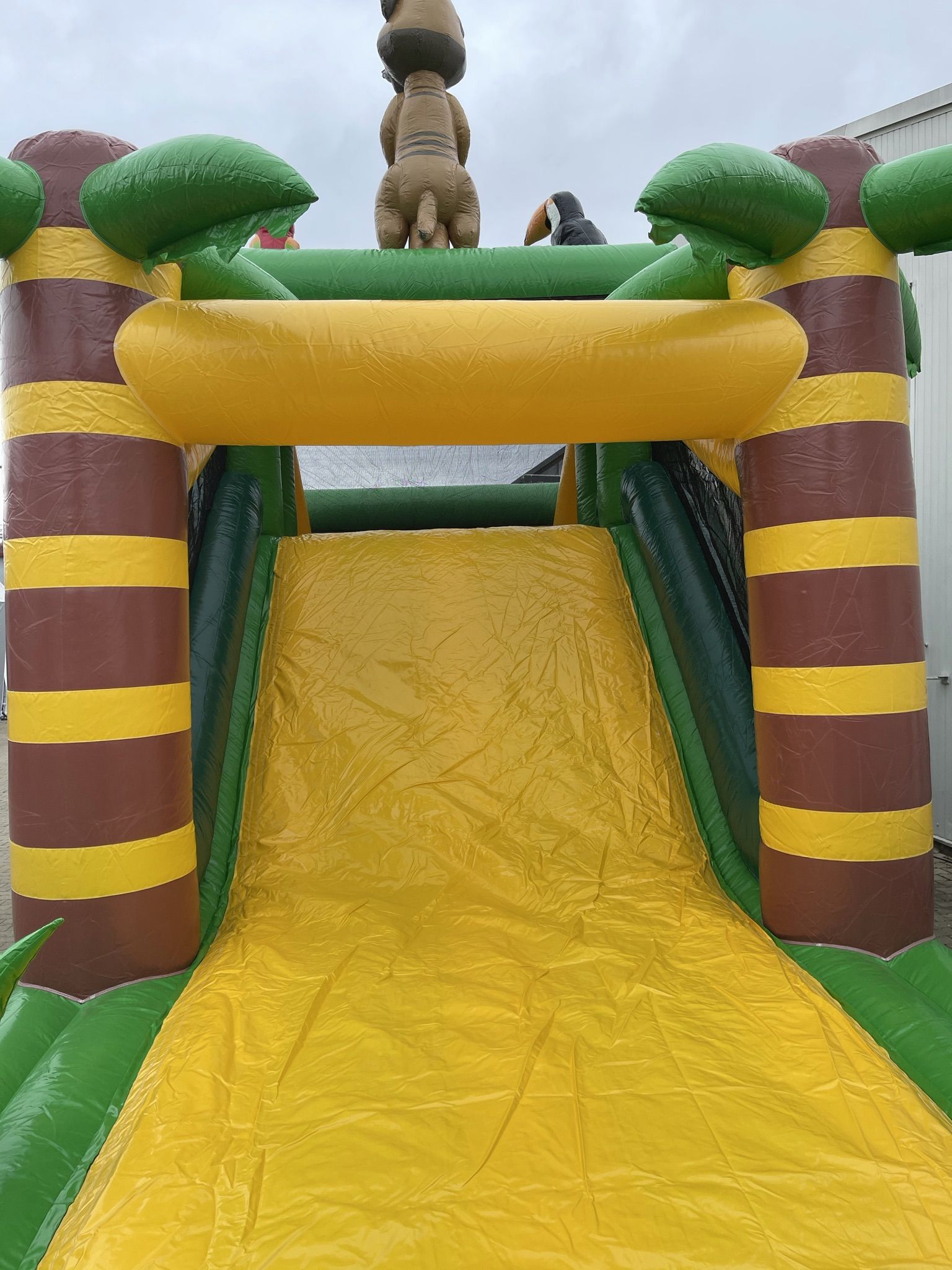 Standaard Junglebaan Afbeelding