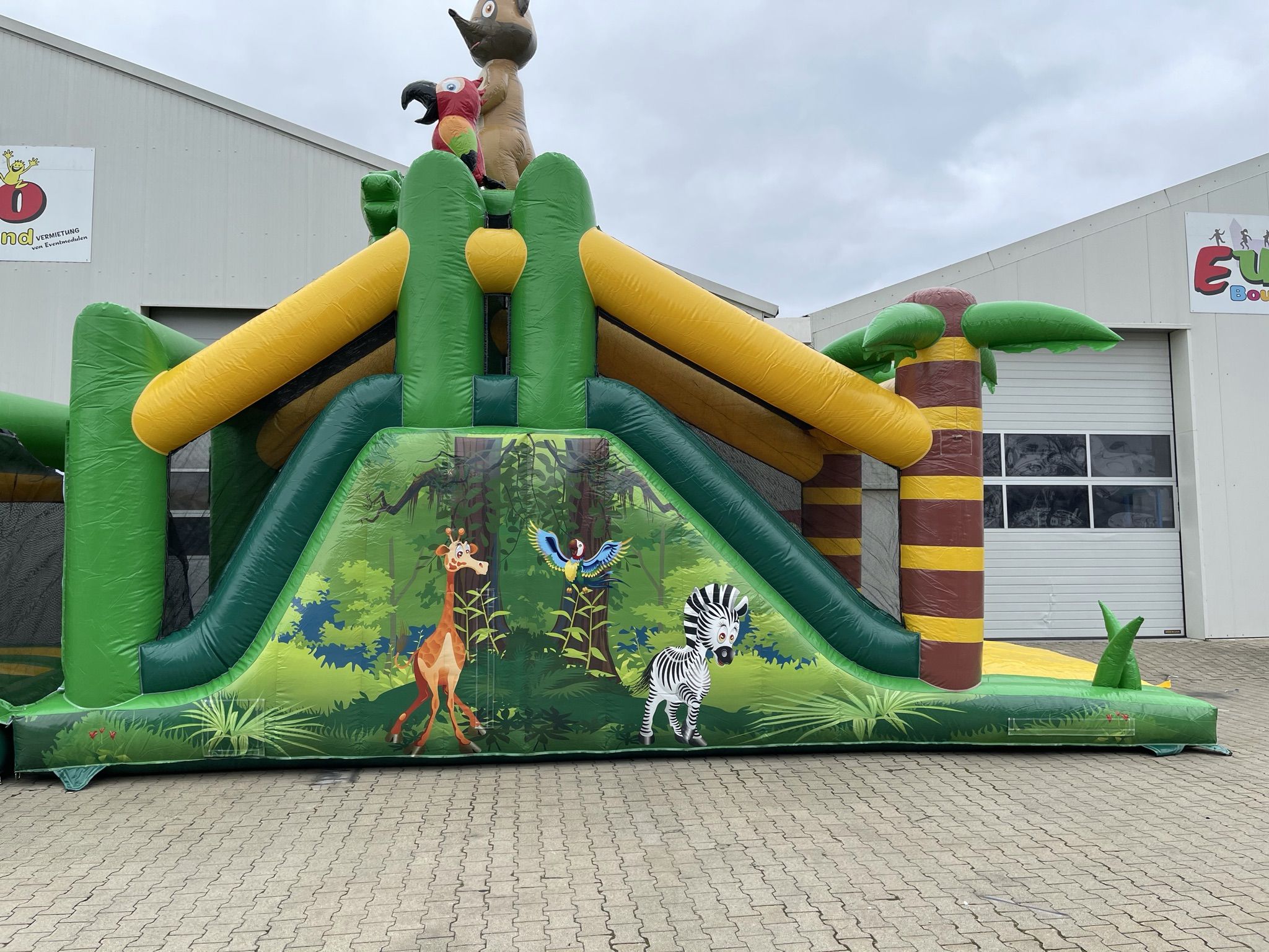 Standaard Junglebaan Afbeelding